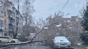 Ураганные хроники: мощный циклон не прекращается в центральной части России.