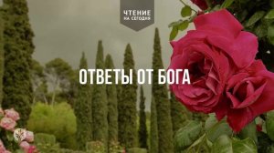 ОТВЕТЫ ОТ БОГА  | АУДИО |	24	  мая 2026