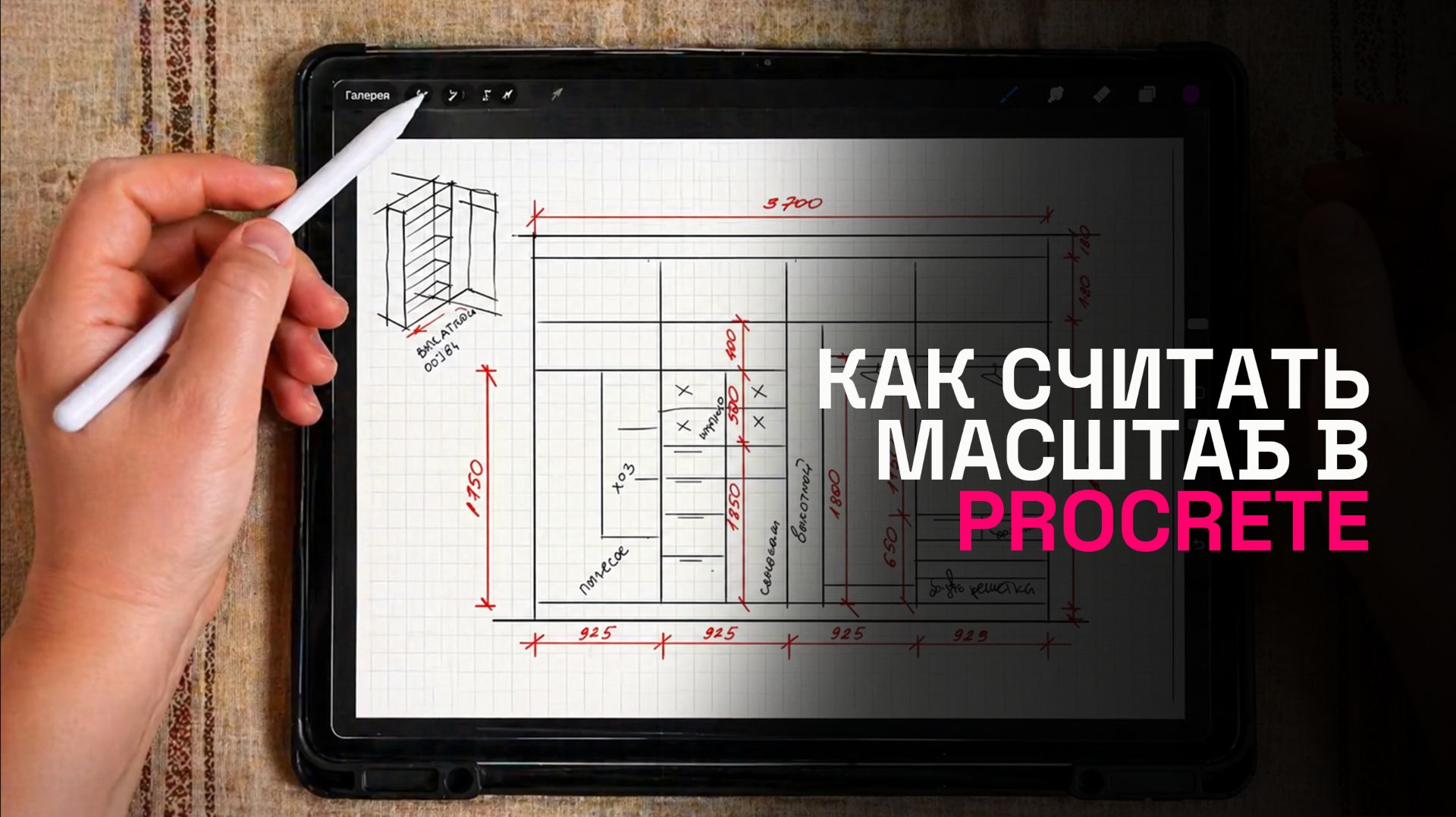 Как правильно выстроить масштаб в Procreate смотреть онлайн