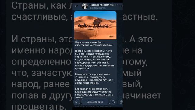 Шлимазл Финкель пакует чемодан. (28.04.26)