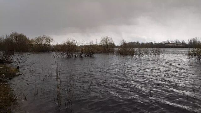 На берегу реки Ока.28 апреля 2026г.