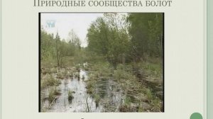 Видео_Природные сообщества 2