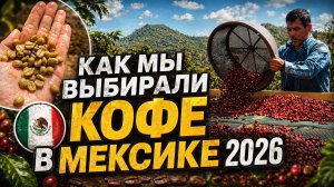 Мексика глазами The Welder Catherine: от фермы до финального каппинга