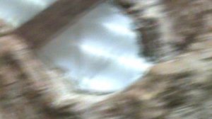 99)я ЗООЭКЗОТАРИУМ