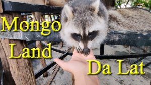 Mongo Land - recreation park in Dalat