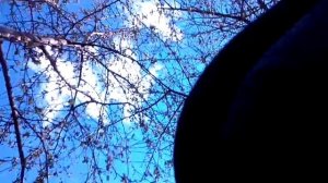 VID_20260428_144317.mp4