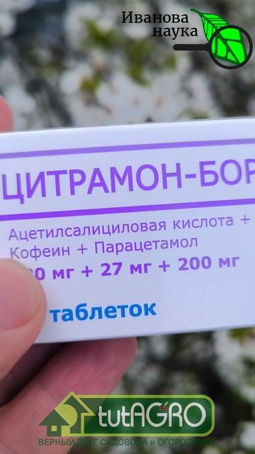 🐝☕ 1 КОПЕЕЧНАЯ ТАБЛЕТКА на 100 литров! Секрет как завалить сад урожаем. Самый простой способ.