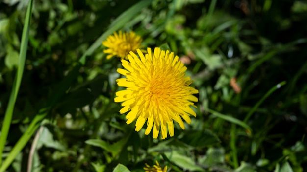 Немного из жизни за апрель ч. 2