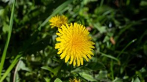 Немного из жизни за апрель ч. 2