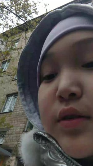 это просто ПП