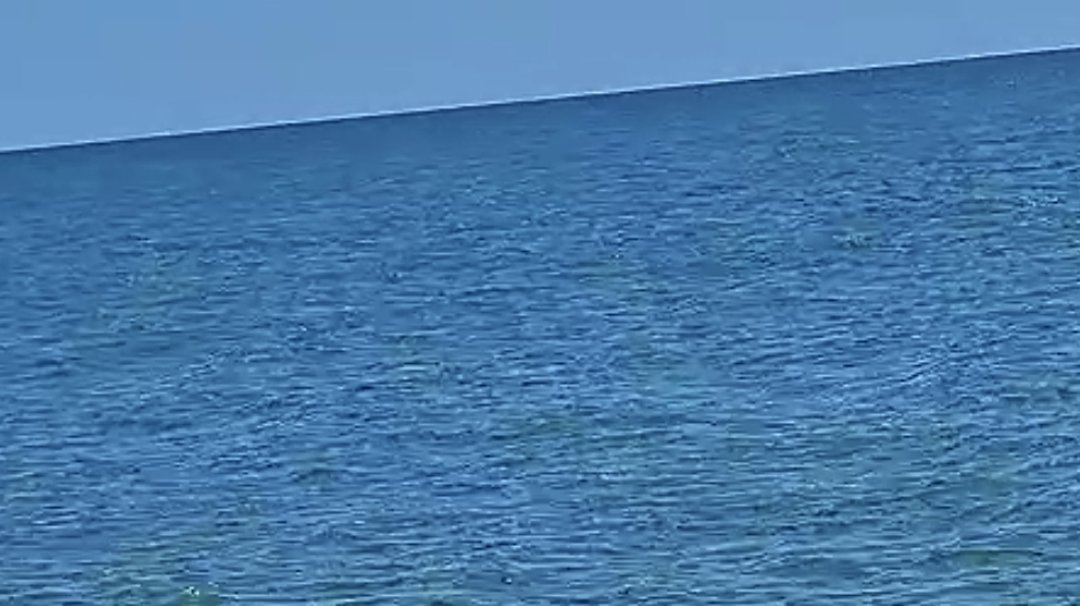 ЖДАЛА ЖДАЛА И ДОЖДАЛАСЬ! хоть краем глаза, но увидела ДЕЛЬФИНОВ!