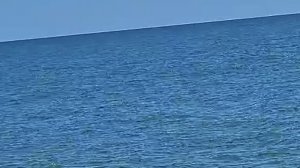 ЖДАЛА ЖДАЛА И ДОЖДАЛАСЬ! хоть краем глаза, но увидела ДЕЛЬФИНОВ!