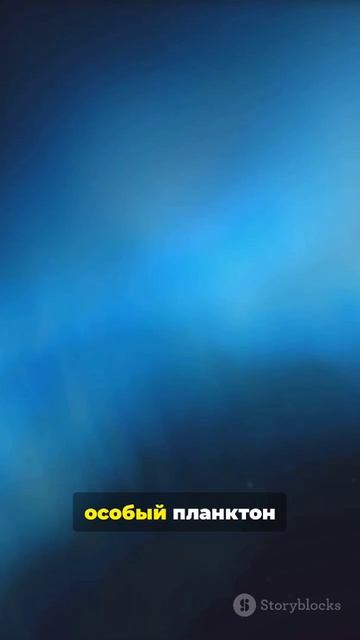 Топ 5 фактов о Мальдивах 🇲🇻!