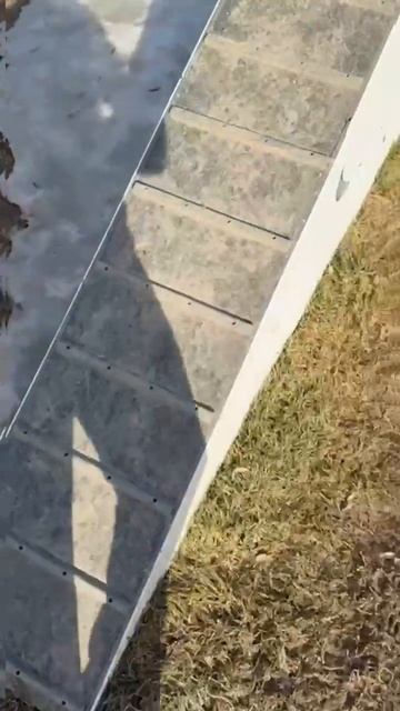 Красавица САО Ульяна 🌸 живет в гостях и ищет 🏠❗Пост в описании 🎥 #сао #собака #алабай #любовь