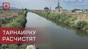 Река Тарнаирка нуждается в срочной расчистке