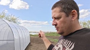 Ура, теплица почти готова, продолжаю спил деревьев и уборку территории.