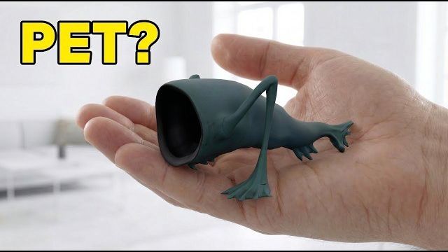 Я ЗАПОЛУЧИЛ ПИТОМЦА МОРСКОГО ПОЖИРАТЕЛЯ