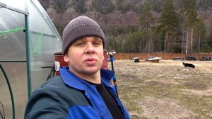 Про долгожданное прибавление , супер парник и покупку крутой штуки. рутюб