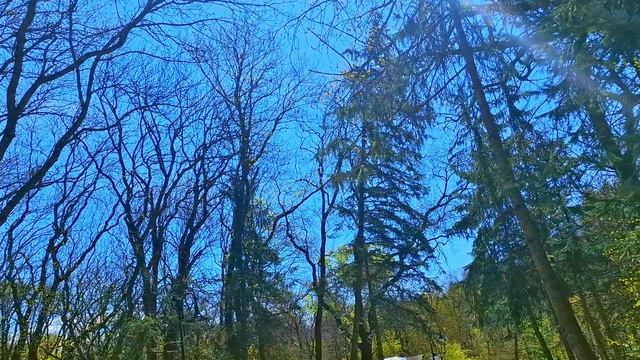 Ессентуки  Курортный парк 28-04-2026