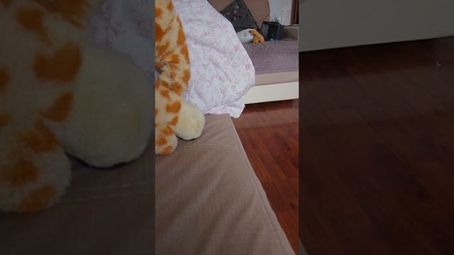 Пов: когда за старшим братом пришел военкомат 💀💀💀💀💀💀💀