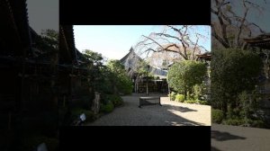 Япония. Подъем в Йосино.