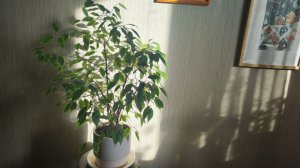 Чем заняться в ненастный день.