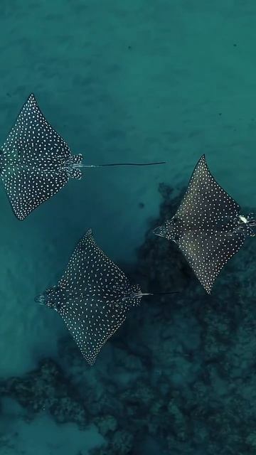 Почувствуй свое тело и вернись в себя