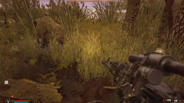 32.S.T.A.L.K.E.R. 2 Heart Of Chornobyl Долбанная Кошка