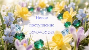 Новое поступление 29-04-2026