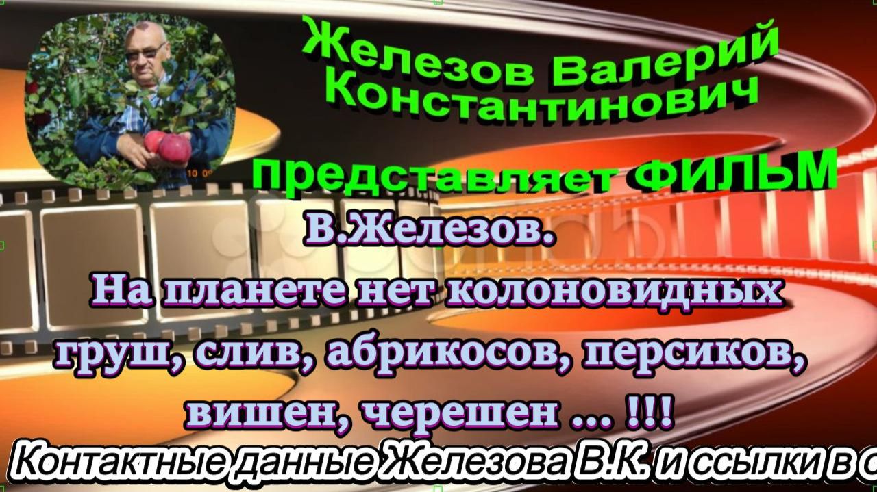 В.Железов. На планете нет колоновидных груш, слив, абрикосов, персиков, вишен, черешен ... !!!