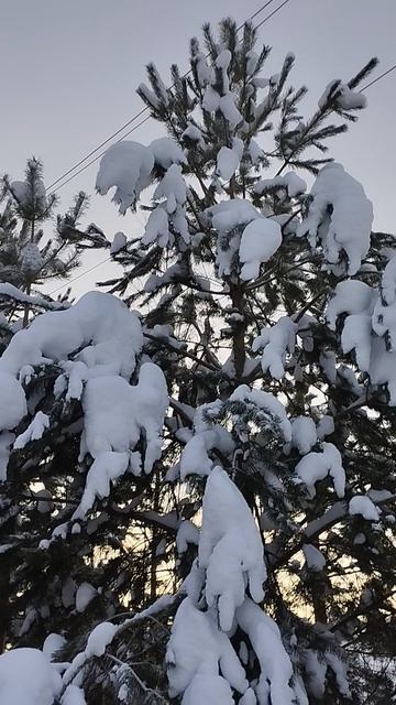 зима пришла