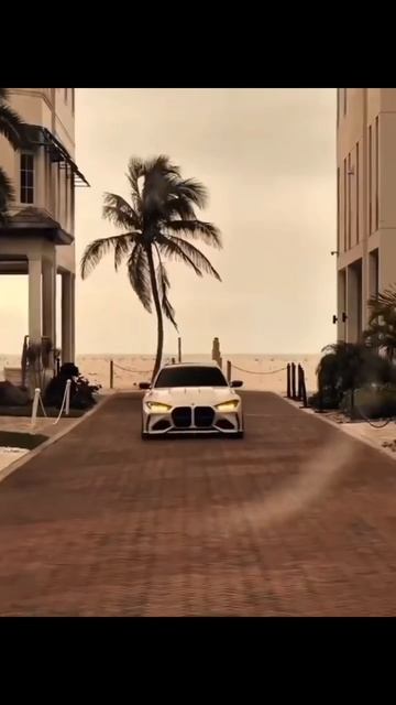 28 апреля 2026 года #shorts#