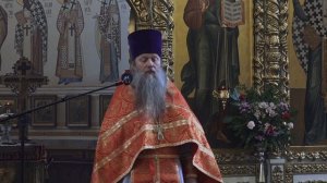 «Хлеб, сшедший с Небес...». Проповедь протоиерея Артемия Владимирова. 280429.