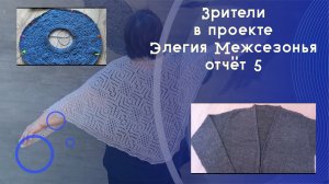 Зрители в СП Элегия Межсезонья | отчёт 5 | #богинипряжи #элегиямежсезонья #вязание