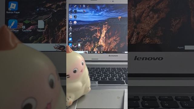 ответы на вопросы оленят  1