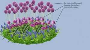 Магия сиреневых композиций