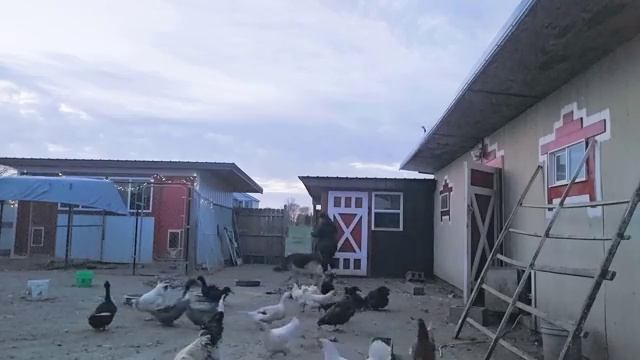 Сельчанка в Америке ЖИЗНЬ В ДЕРЕВНЕ СУББОТНИК ГЕНЕРАЛЬНАЯ УБОРКА ДВОРА