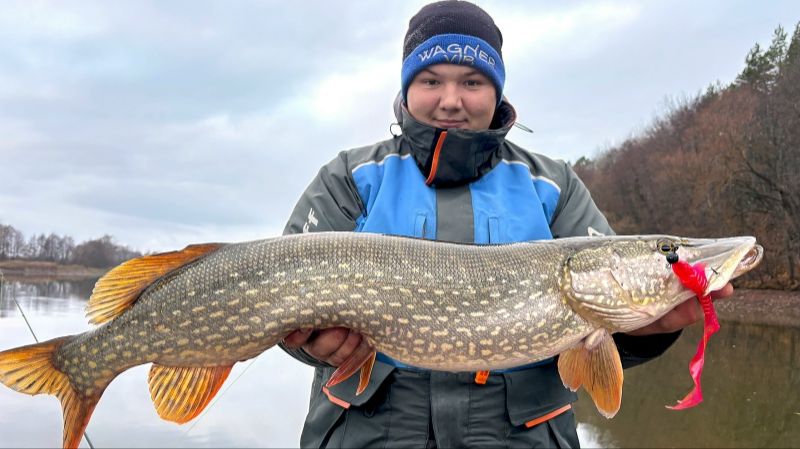 ЩУКИ ЗВЕРЕЮТ ОТ ЭТОЙ ПРИМАНКИ! ВСЕ СЕКРЕТЫ РАСКРЫТЫ! Рыбалка на спиннинг