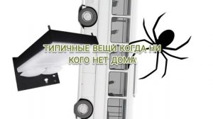 Типичные вещи когда ни кого нет дома