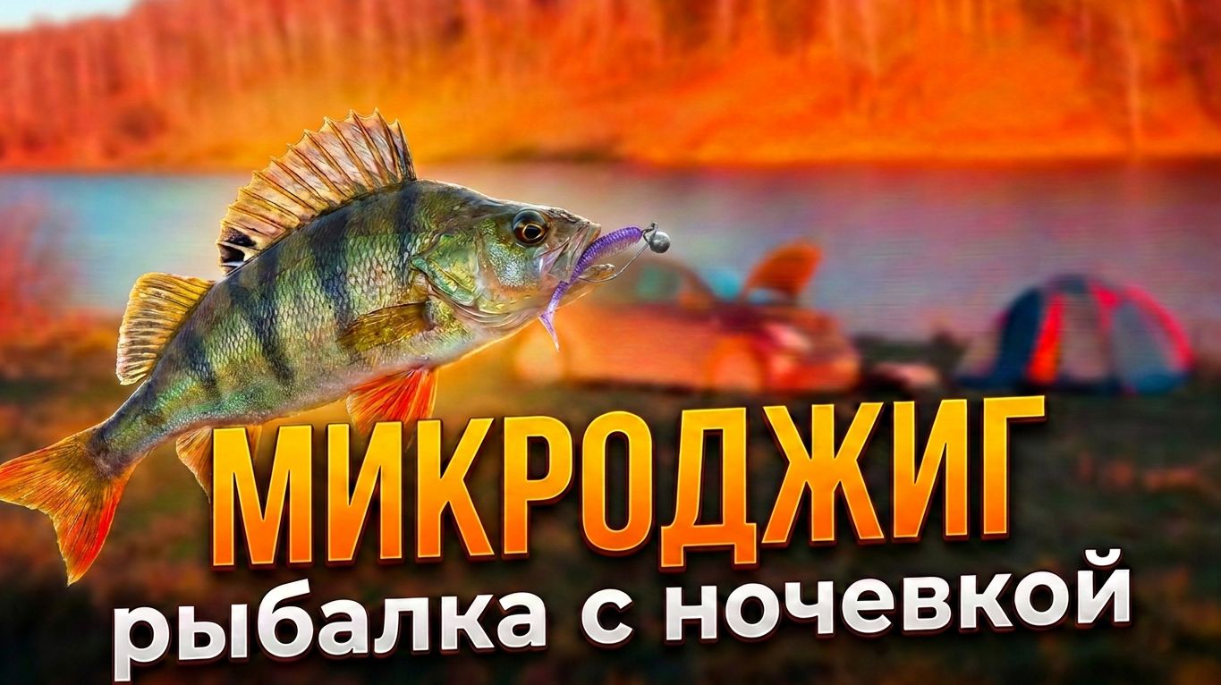 РЫБАЛКА С НОЧЕВКОЙ. МИКРОДЖИГ. РВЁМ СЕТИ БРАКОШ  #рыбалка #микроджиг #ультралайт #lvfishing #природа