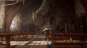 Charms, Potions, Transfiguration, Dark Arts   Hogwarts Legacy Classroom Ambience   Harry Potter