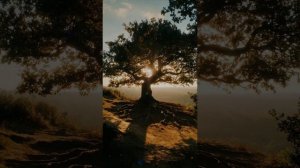 Видео Не бывает верности без любви. Стихи Гульнур Зариповой