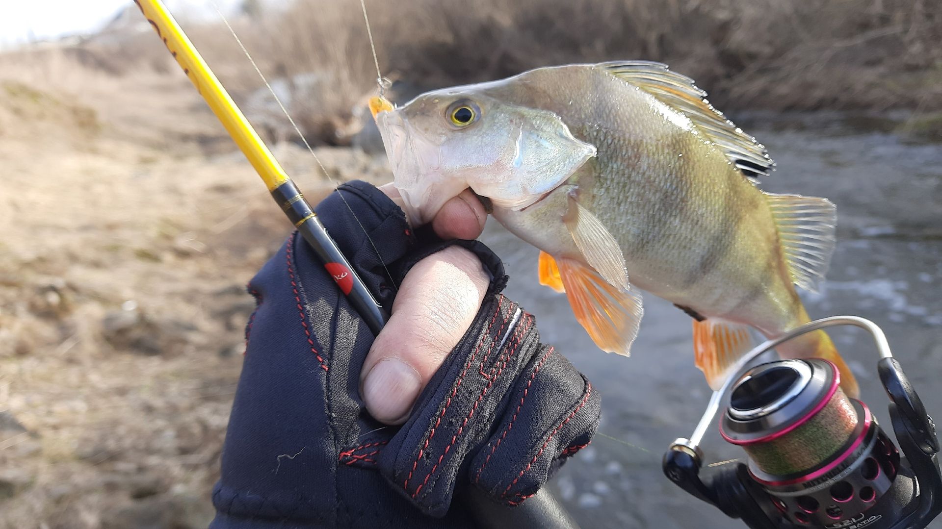 Дроп шот окунь открытие 22.04.26