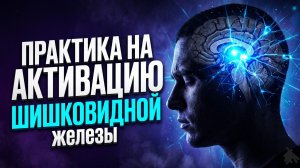 Запуск шишковидной железы через тело: убираем страх, сомнения и внутренние блокировки