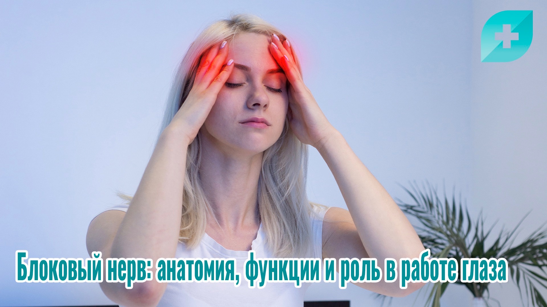 Блоковый нерв: анатомия, функции и роль в работе глаза