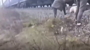 💔 Под Екатеринбургом собаку приковали к рельсам и оставили умирать. 

К счастью, волонтеры успели