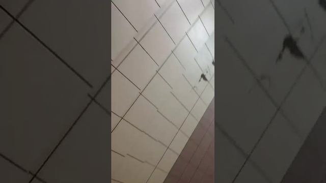 Типичная школа на уроке вкоридоре