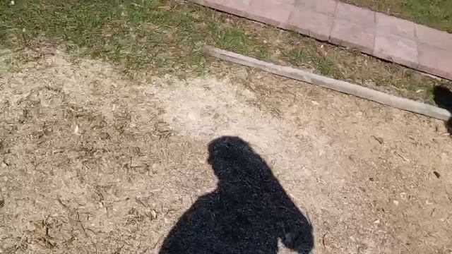 сделали турник для Сергея