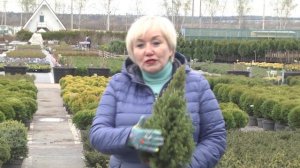 Дачные советы 23_04_26