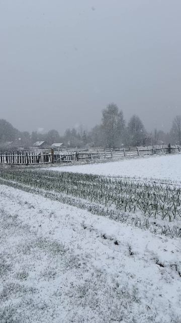 Погода на сегодня #погода_на_сегодня #снег